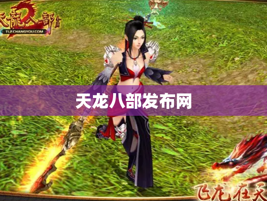 天龙八部发布网