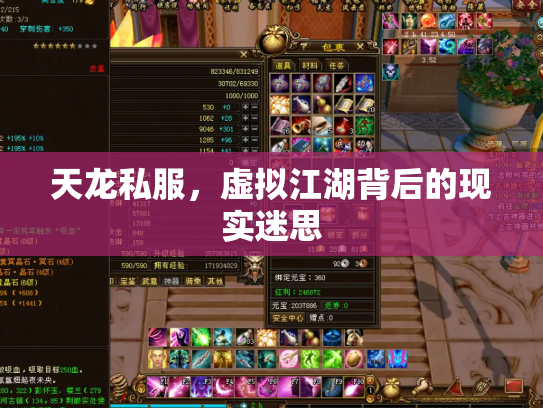 天龙私服，虚拟江湖背后的现实迷思