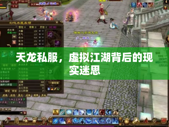 天龙私服，虚拟江湖背后的现实迷思