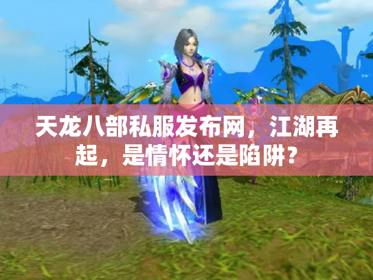 天龙八部私服发布网，江湖再起，是情怀还是陷阱？