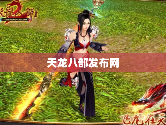 天龙八部发布网