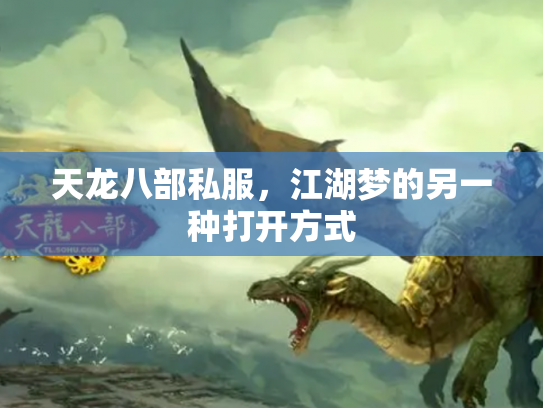 天龙八部私服，江湖梦的另一种打开方式