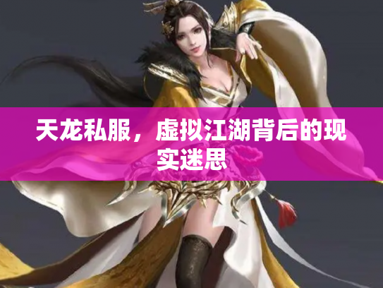 天龙私服，虚拟江湖背后的现实迷思