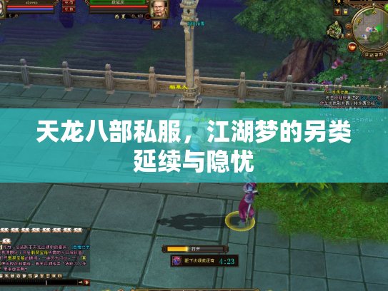 天龙八部私服，江湖梦的另类延续与隐忧