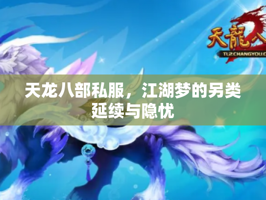 天龙八部私服，江湖梦的另类延续与隐忧