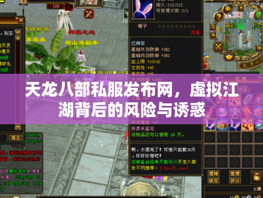 天龙八部私服发布网，虚拟江湖背后的风险与诱惑