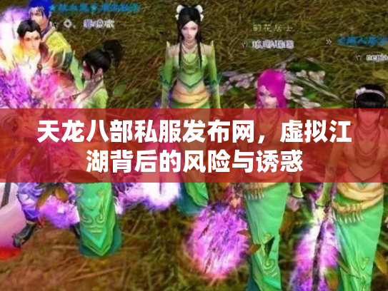天龙八部私服发布网，虚拟江湖背后的风险与诱惑