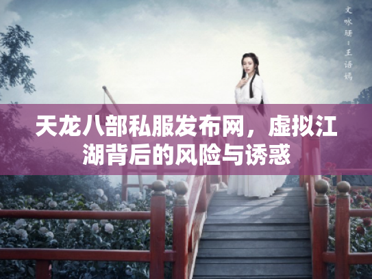天龙八部私服发布网，虚拟江湖背后的风险与诱惑