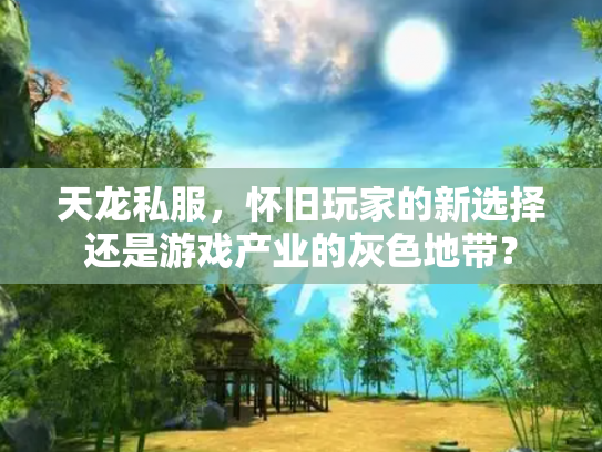 天龙私服，怀旧玩家的新选择还是游戏产业的灰色地带？