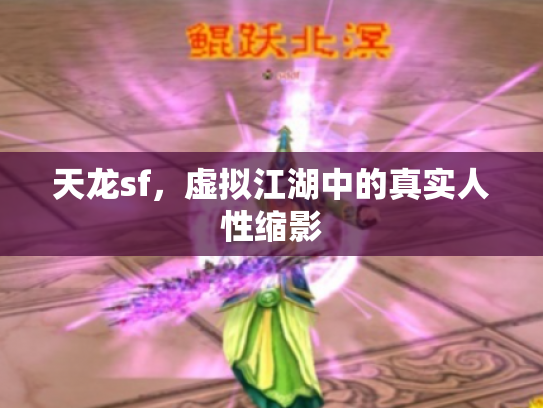 天龙sf，虚拟江湖中的真实人性缩影