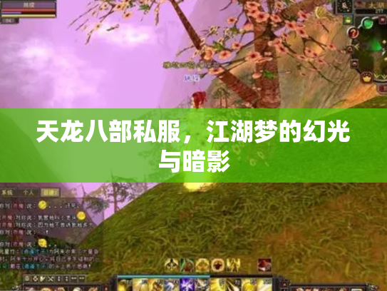 天龙八部私服，江湖梦的幻光与暗影
