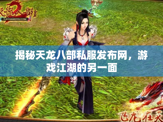 揭秘天龙八部私服发布网，游戏江湖的另一面