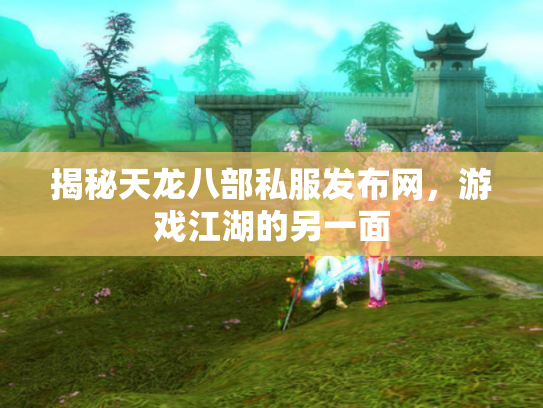 揭秘天龙八部私服发布网，游戏江湖的另一面
