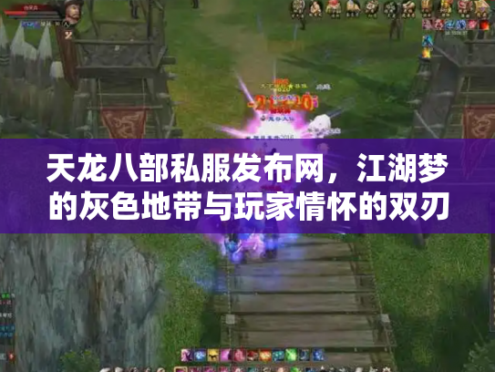 天龙八部私服发布网，江湖梦的灰色地带与玩家情怀的双刃剑