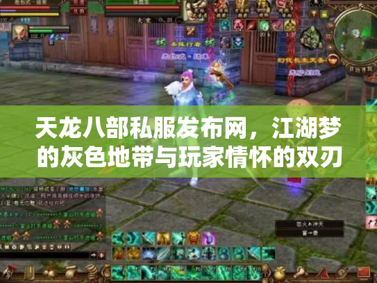 天龙八部私服发布网，江湖梦的灰色地带与玩家情怀的双刃剑