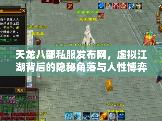 天龙八部私服发布网，虚拟江湖背后的隐秘角落与人性博弈