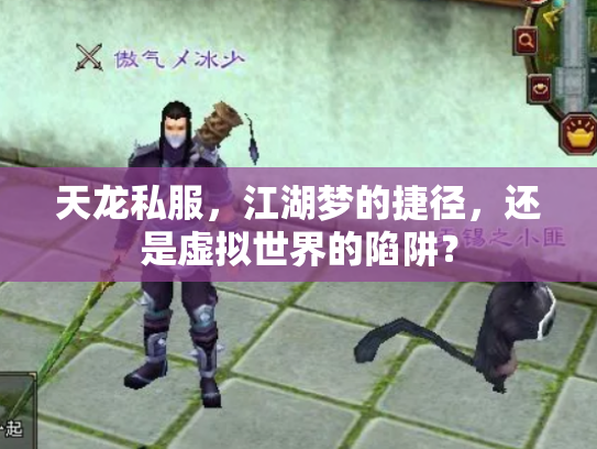 天龙私服，江湖梦的捷径，还是虚拟世界的陷阱？