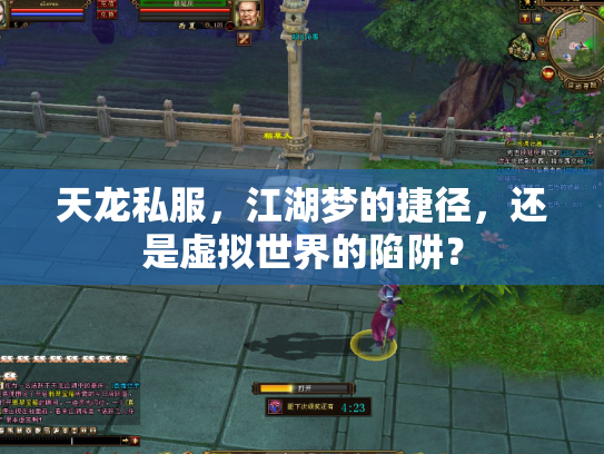 天龙私服，江湖梦的捷径，还是虚拟世界的陷阱？