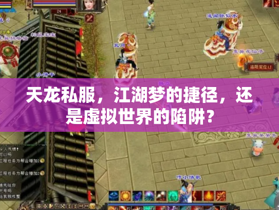 天龙私服，江湖梦的捷径，还是虚拟世界的陷阱？