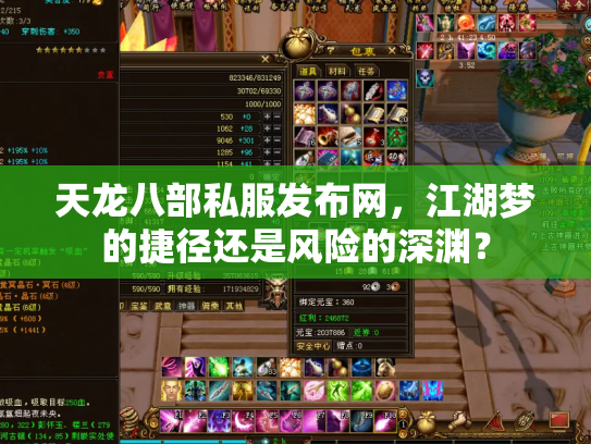 天龙八部私服发布网，江湖梦的捷径还是风险的深渊？