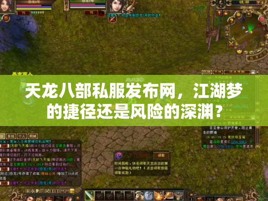 天龙八部私服发布网，江湖梦的捷径还是风险的深渊？