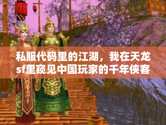 私服代码里的江湖，我在天龙sf里窥见中国玩家的千年侠客执念