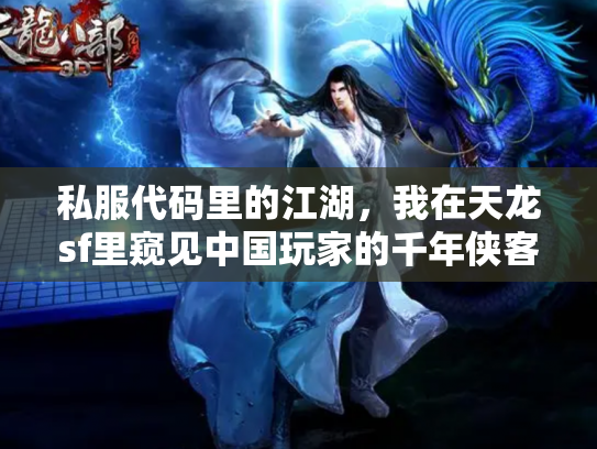 私服代码里的江湖，我在天龙sf里窥见中国玩家的千年侠客执念