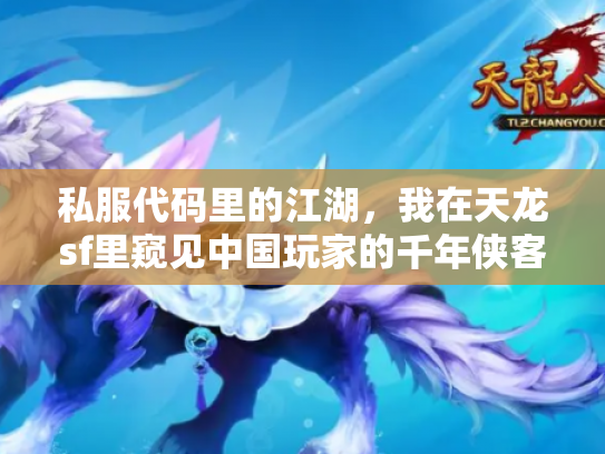 私服代码里的江湖，我在天龙sf里窥见中国玩家的千年侠客执念