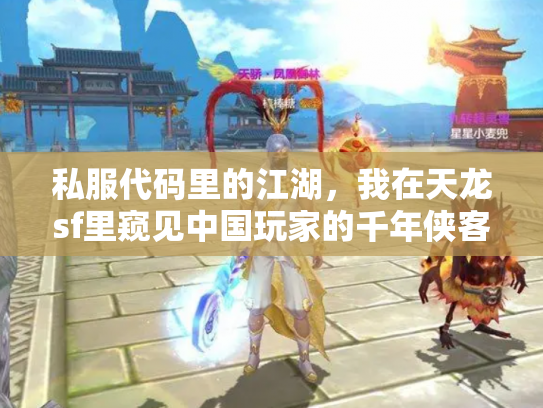 私服代码里的江湖，我在天龙sf里窥见中国玩家的千年侠客执念
