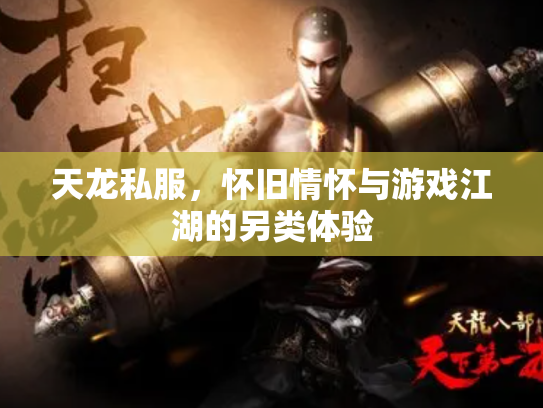 天龙私服，怀旧情怀与游戏江湖的另类体验