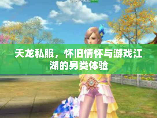天龙私服，怀旧情怀与游戏江湖的另类体验