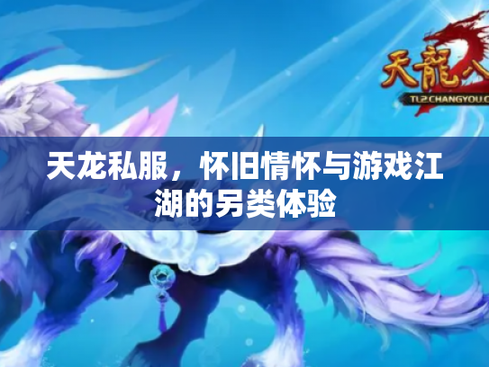 天龙私服，怀旧情怀与游戏江湖的另类体验