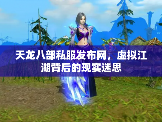 天龙八部私服发布网，虚拟江湖背后的现实迷思
