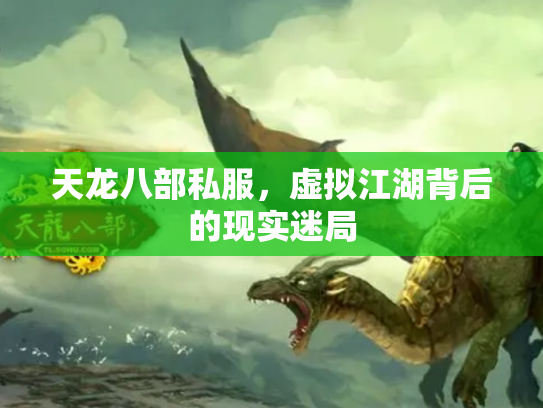 天龙八部私服，虚拟江湖背后的现实迷局