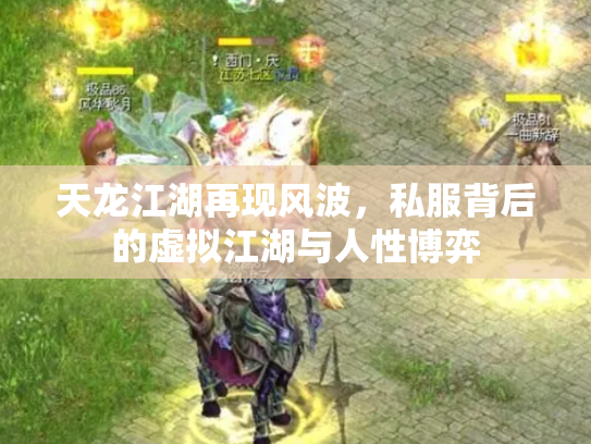 天龙江湖再现风波，私服背后的虚拟江湖与人性博弈