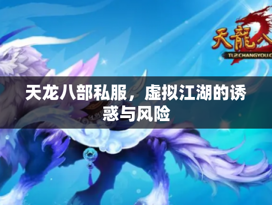 天龙八部私服，虚拟江湖的诱惑与风险