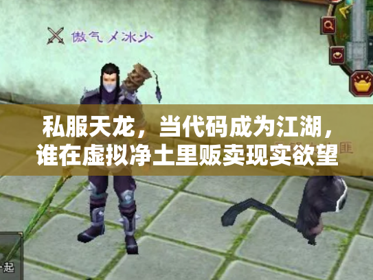 私服天龙，当代码成为江湖，谁在虚拟净土里贩卖现实欲望