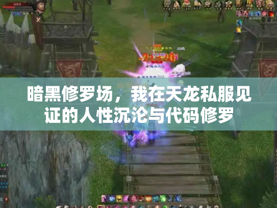 暗黑修罗场，我在天龙私服见证的人性沉沦与代码修罗