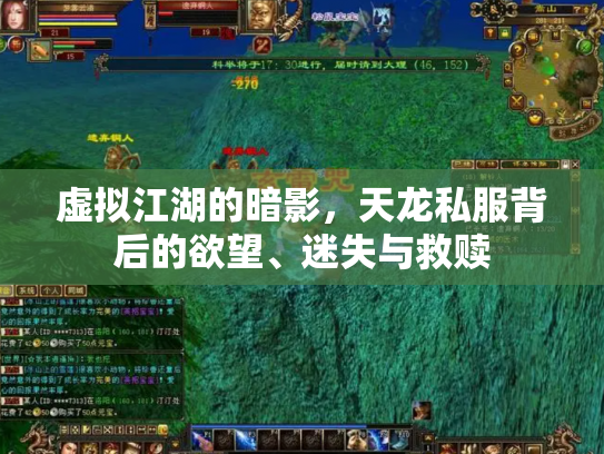 虚拟江湖的暗影，天龙私服背后的欲望、迷失与救赎