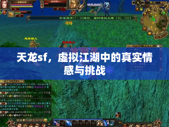 天龙sf，虚拟江湖中的真实情感与挑战