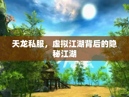天龙私服，虚拟江湖背后的隐秘江湖