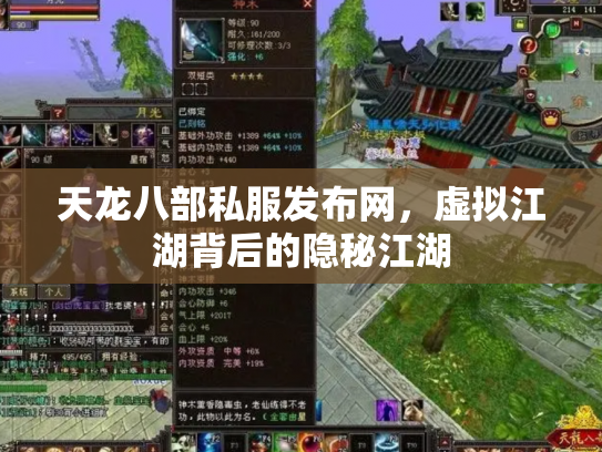 天龙八部私服发布网，虚拟江湖背后的隐秘江湖