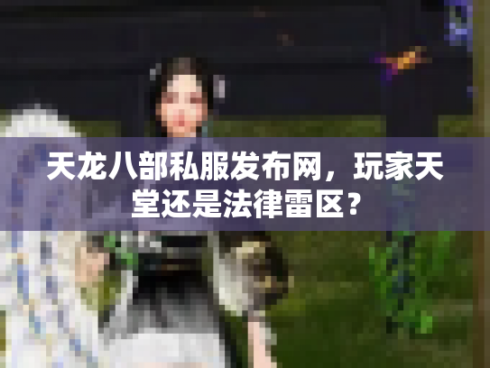 天龙八部私服发布网，玩家天堂还是法律雷区？