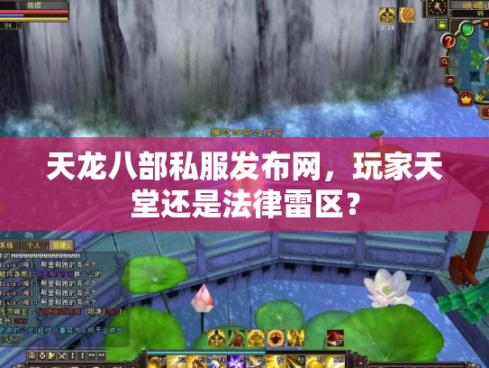 天龙八部私服发布网，玩家天堂还是法律雷区？