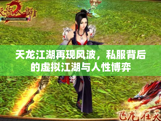 天龙江湖再现风波，私服背后的虚拟江湖与人性博弈