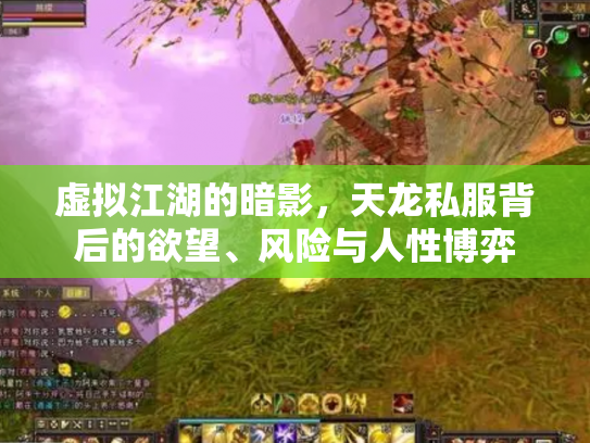 虚拟江湖的暗影，天龙私服背后的欲望、风险与人性博弈