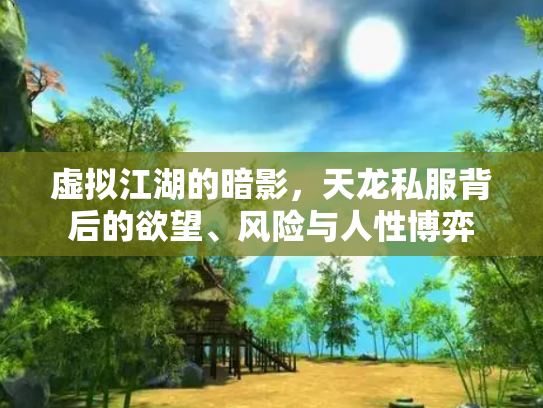 虚拟江湖的暗影，天龙私服背后的欲望、风险与人性博弈