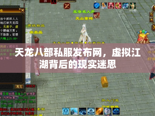 天龙八部私服发布网，虚拟江湖背后的现实迷思