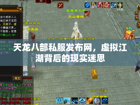 天龙八部私服发布网，虚拟江湖背后的现实迷思