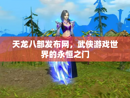 天龙八部发布网，武侠游戏世界的永恒之门
